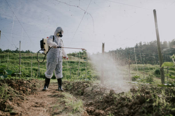 Best Commercial Pest Control Services  in Sibley, LA