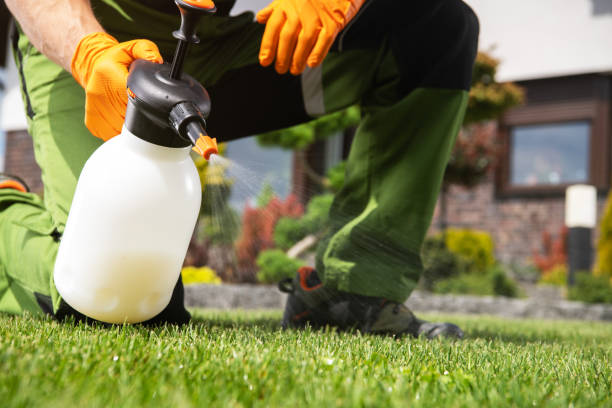 Best Insect Control  in Sibley, LA