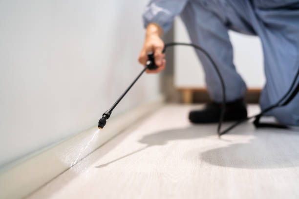 Pest Prevention Services in Sibley, LA