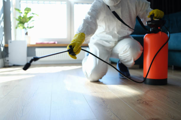 Best Wasp Removal Services  in Sibley, LA