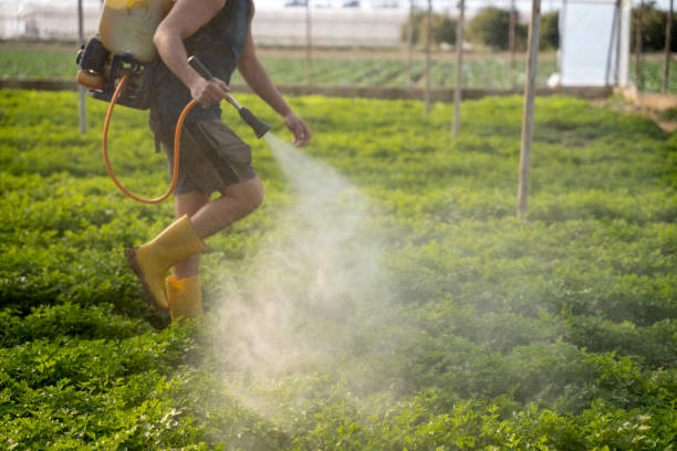 Best Best Pest Control Companies  in Sibley, LA