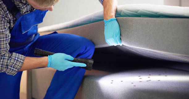 Best Flea Control Services  in Sibley, LA