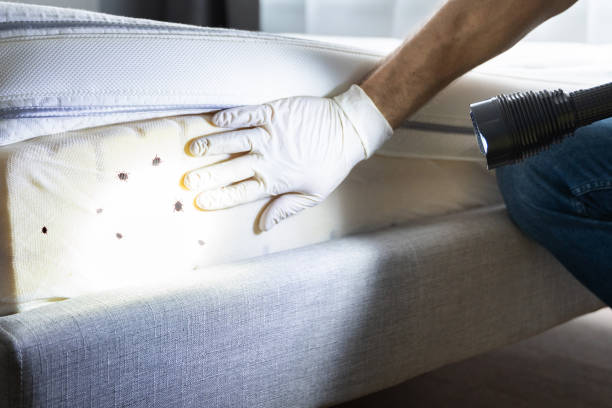 Best Pest Removal Services  in Sibley, LA