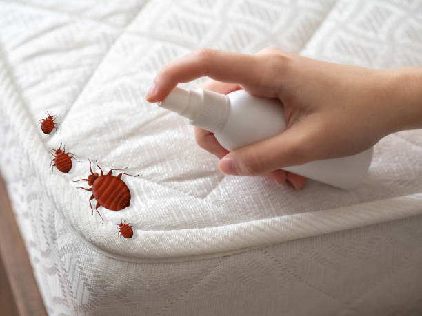 Trusted Sibley, LA Pest Control Experts