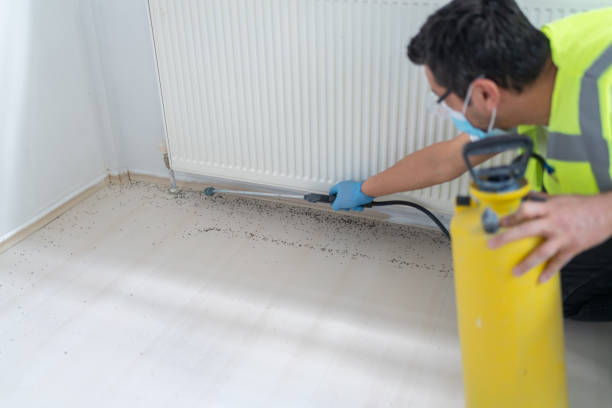 Best Insect Control  in Sibley, LA