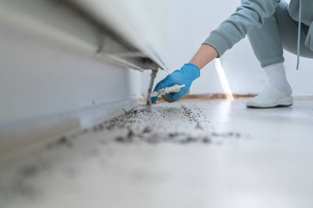 Pest Control for Restaurants in Sibley, LA