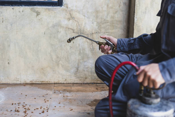 Professional Pest Control in Sibley, LA