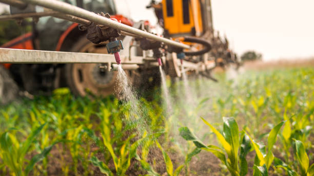 Best Commercial Pest Control Services  in Sibley, LA